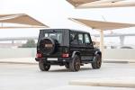 Mercedes-AMG G65 Final Edition 2018 года (WW)